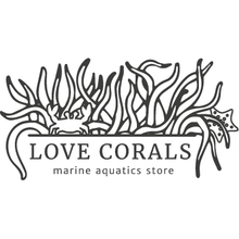 Load image into Gallery viewer, LoveCorals.Com Gift Card!
